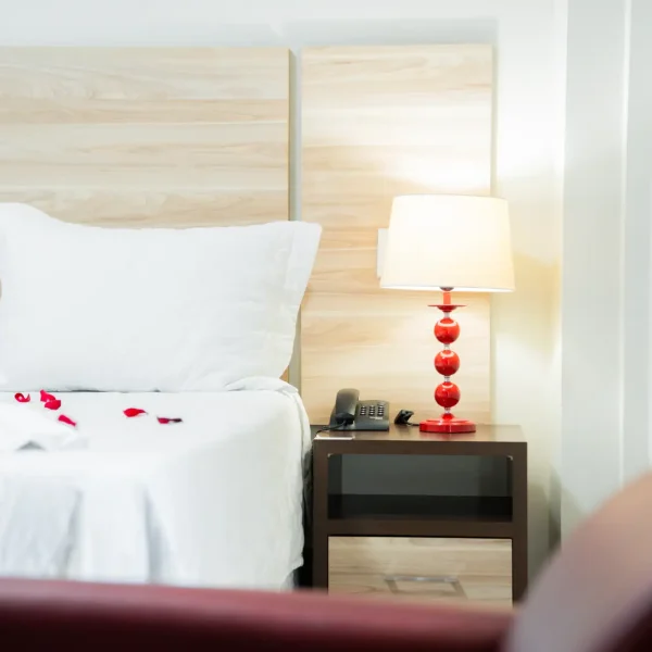 QUARTO VI (14)